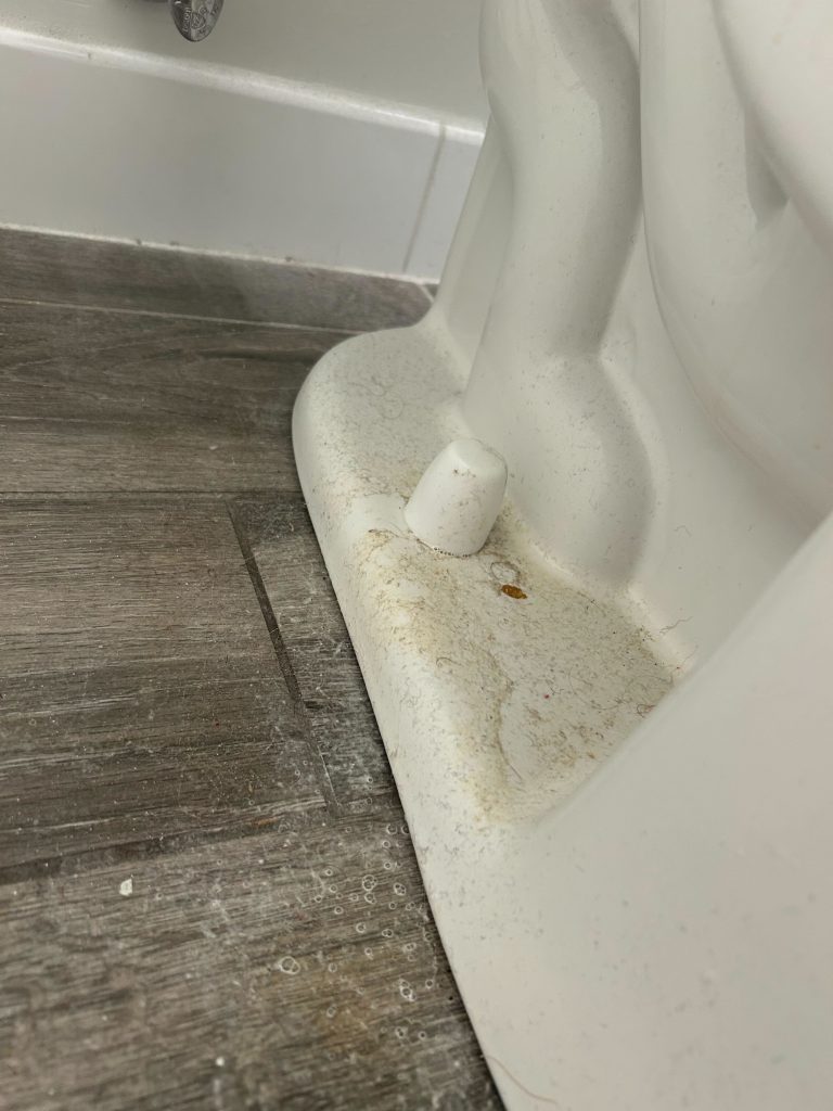 how to clean outside of toilet bowl 1